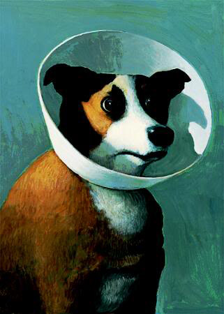 sowa-kranker-hund