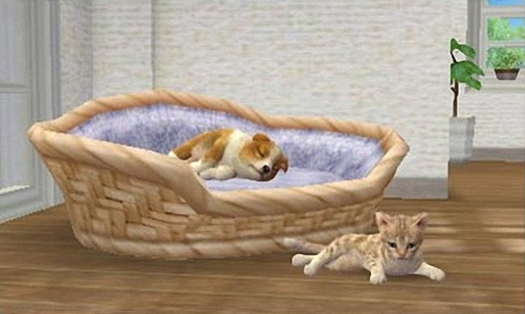 Nintendogs + Cats