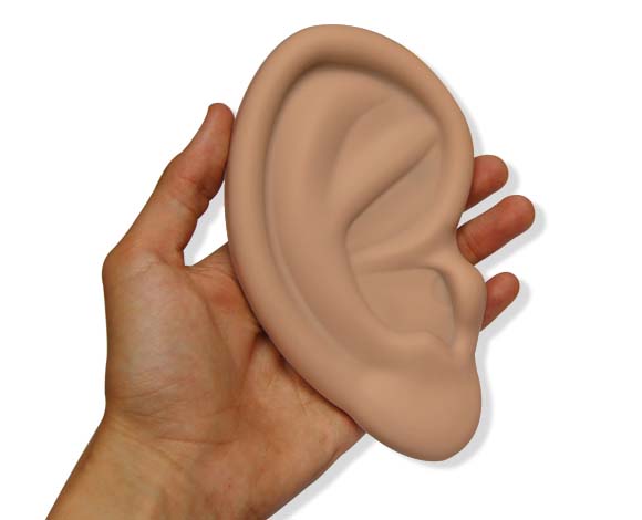 2-ear