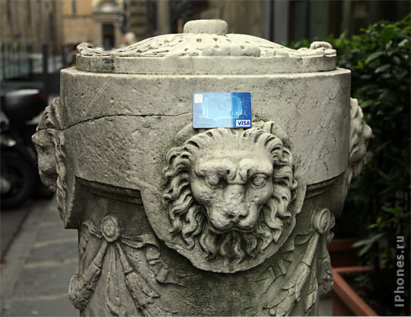 qiwi-firenze