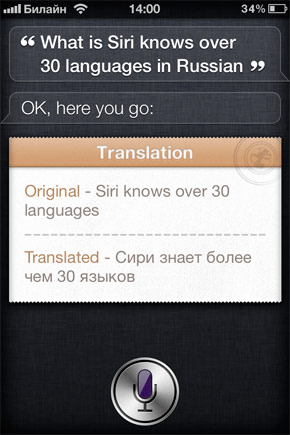 Lingual