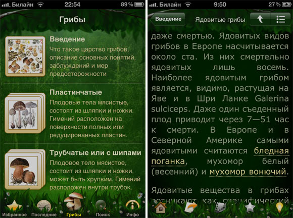 Mushrooms-2