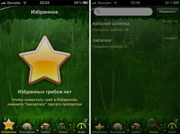 Mushrooms-4