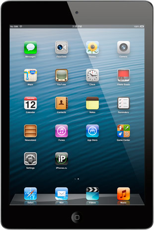 iPad mini