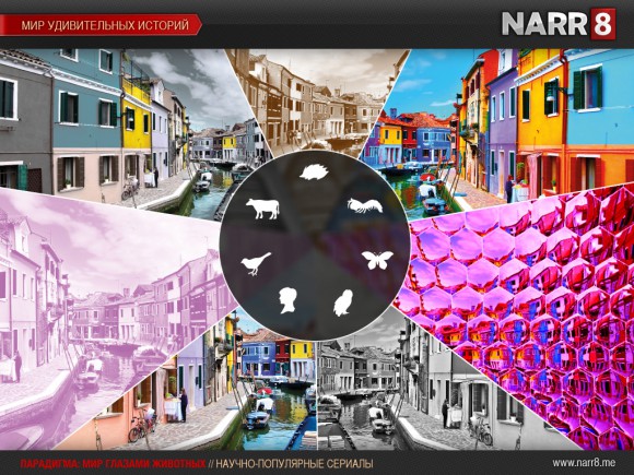 narr 1