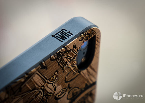 17-Twig-Cases