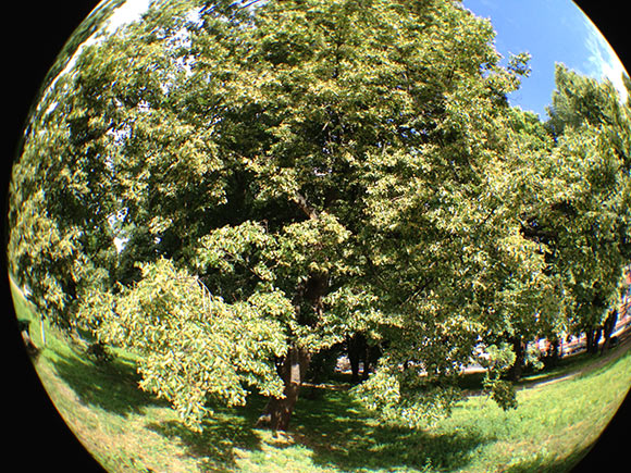 12-Barey-iPhone-Lens