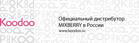 Купить Mixberry Backup Case MIB 200