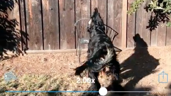 iPhone5s-camera-slow-motion2