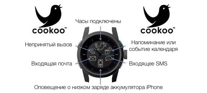 cookoo-watch-review22