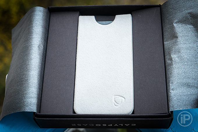 06-CalypsoCase-Endless