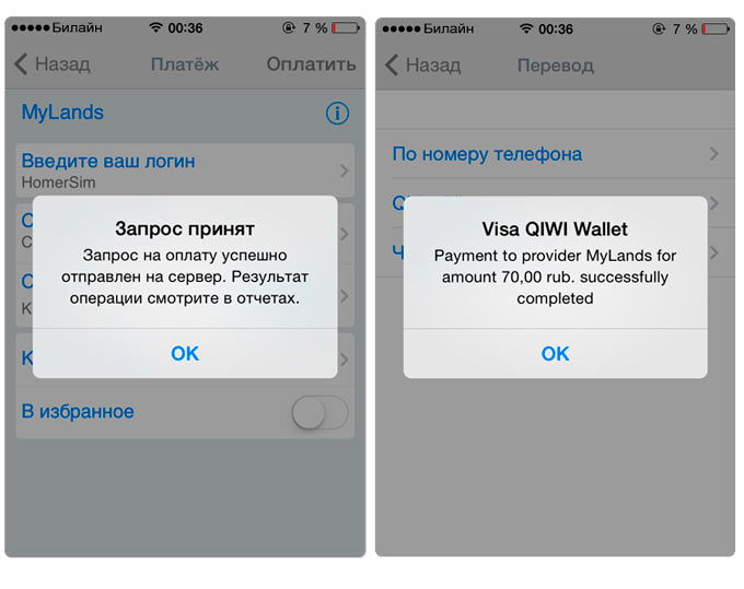QIWI_Wallet3