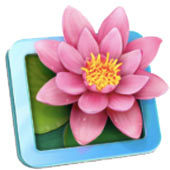 LiliView_Logo