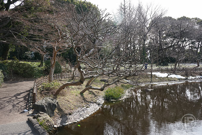 124-Tokyo-Report-2014