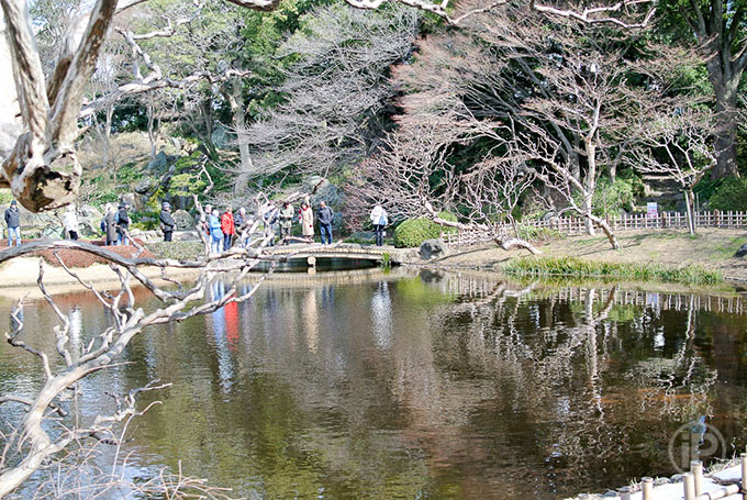 125-Tokyo-Report-2014
