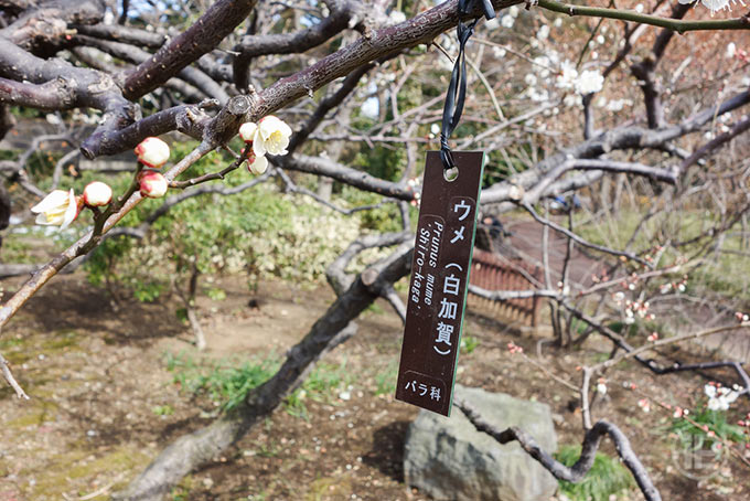 128-Tokyo-Report-2014