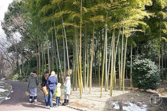 134-Tokyo-Report-2014
