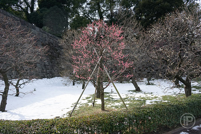 138-Tokyo-Report-2014
