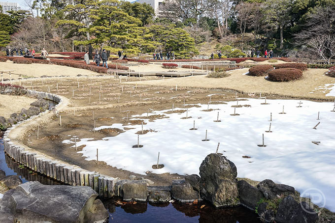 142-Tokyo-Report-2014