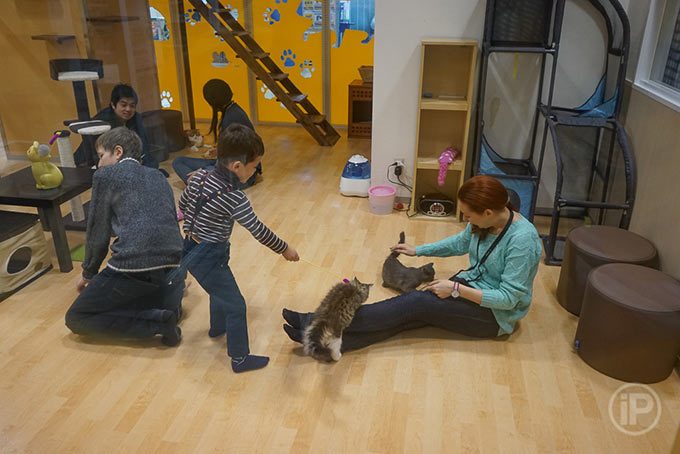 217-Tokyo-Report-2014