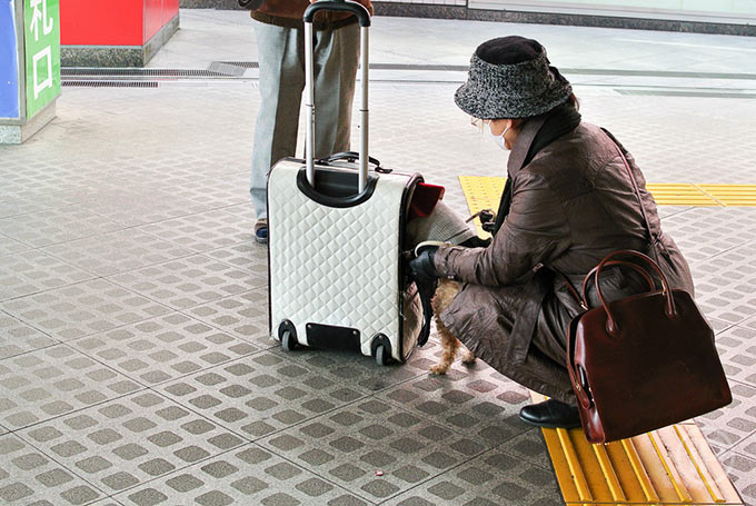 220-Tokyo-Report-2014