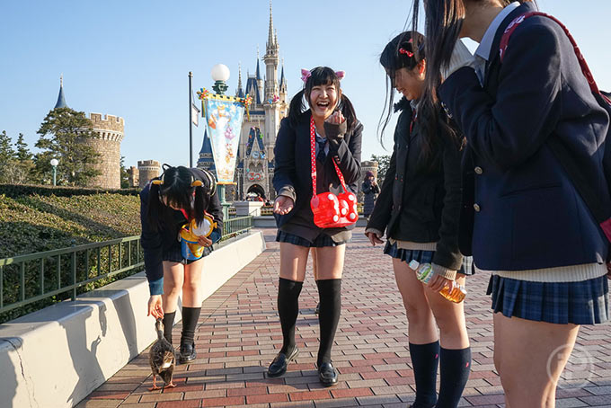 258-Tokyo-Report-2014