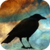appsale08082014-2