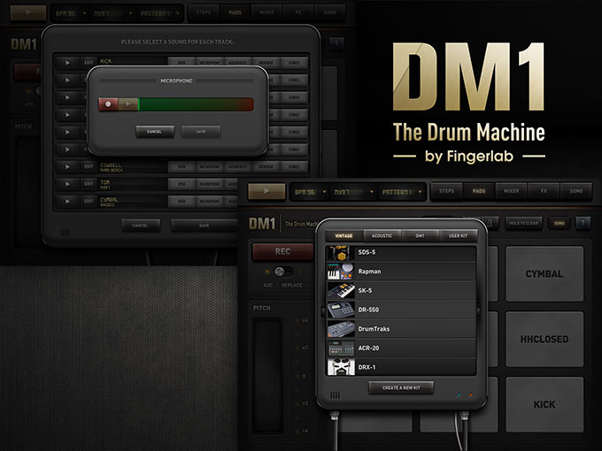 dm1