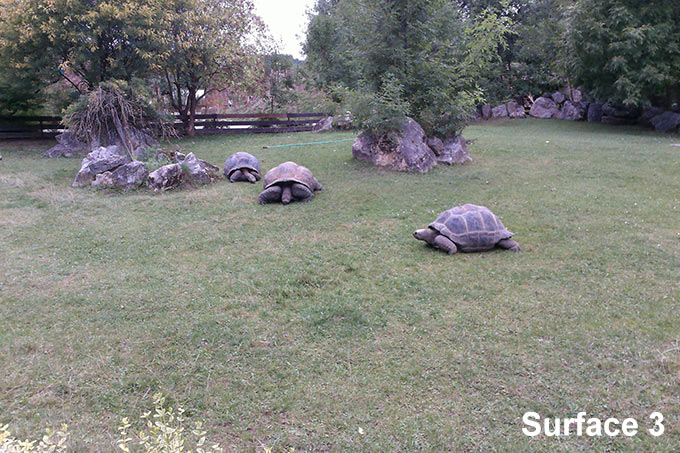 foto-surface-ch