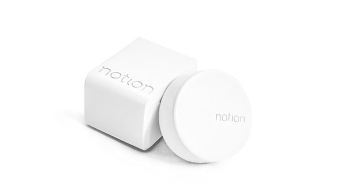 notion