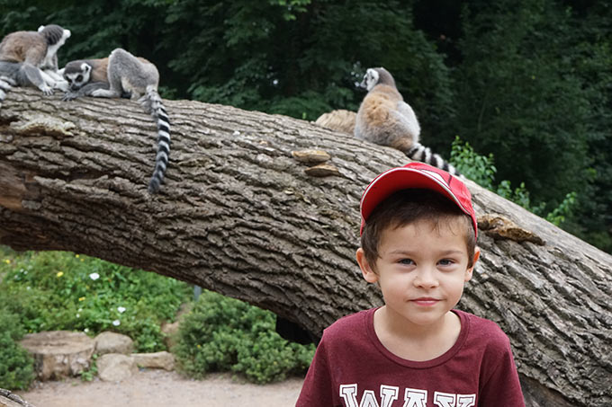 zoo-renat