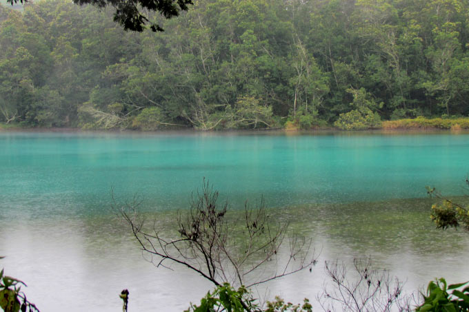 30-green-brown-lake
