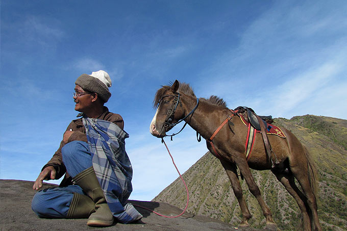 38-bromo-horse