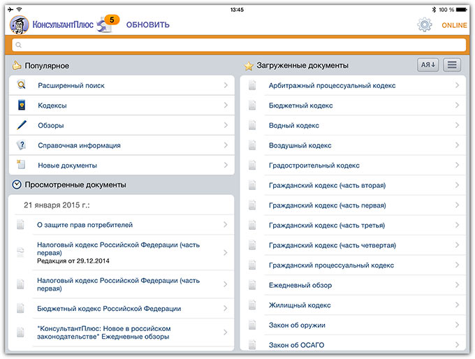 04-ConsultantPlus-v6