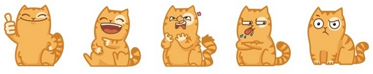 cats