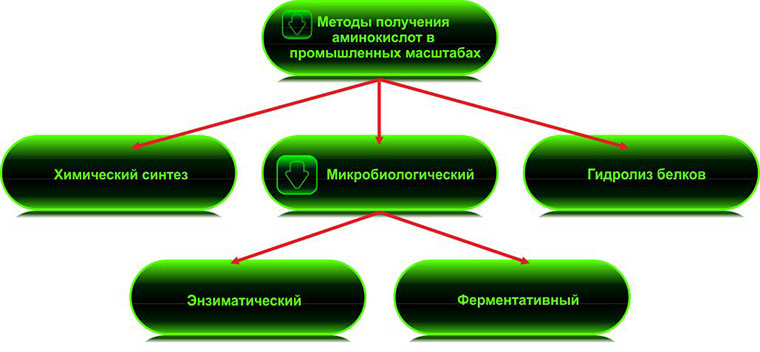 04-Editorial-Sport-Nutrition