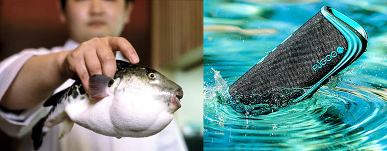 FuguFish
