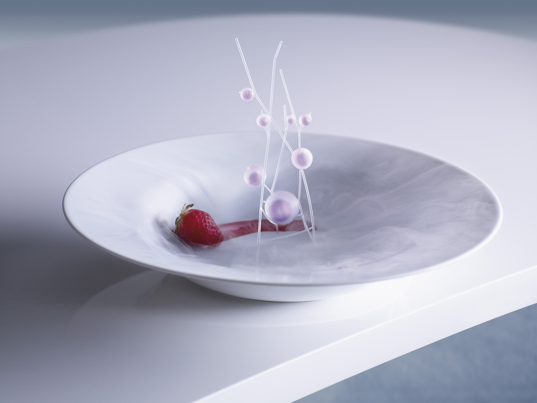 92871 PD Food Probe 26301