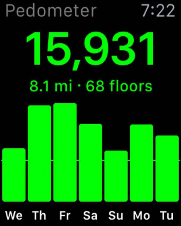 applewatch-travel-pedometer-6c