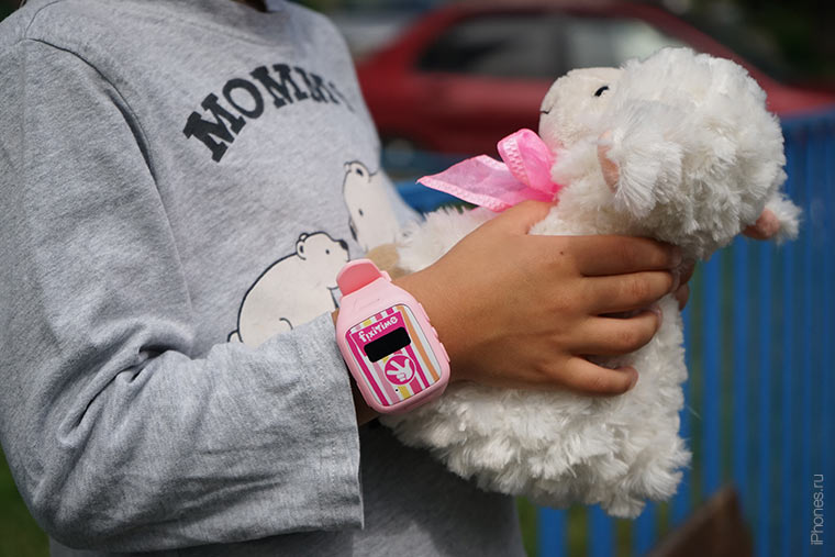 fixitime-sheep-in-hands