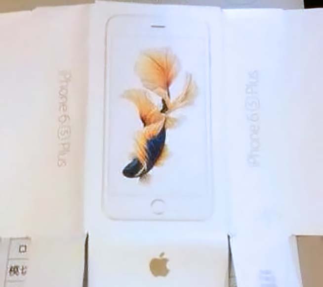 iphone6scarp