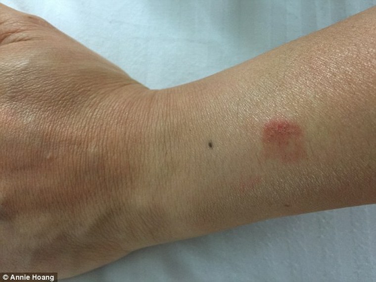 2BFACFFA00000578-3222811-image-a-1_1441395194527