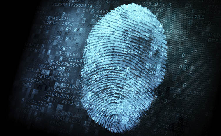 Fingerprint-light-blue