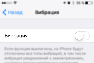 Search_fix_p5