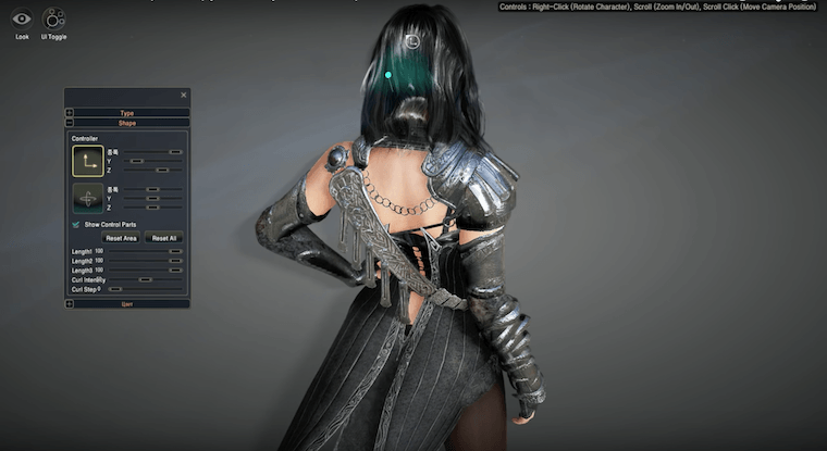 black desert 2
