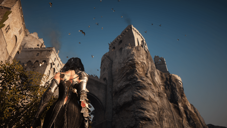 black desert 4