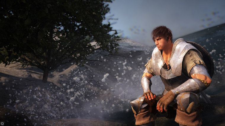 black desert 6