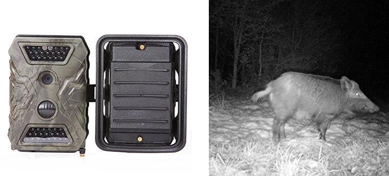 wildcamera
