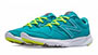 icon-vazee