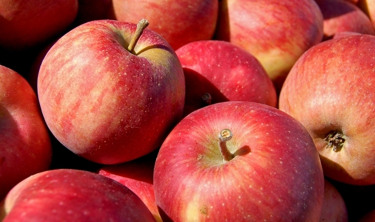 apples2